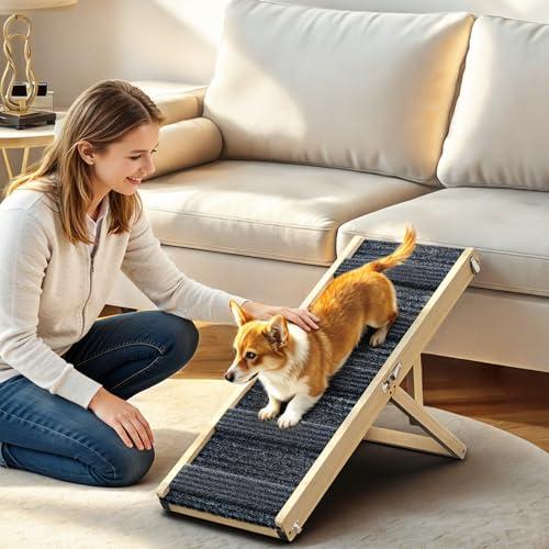 Why Does Your Dog Struggle to Get Onto the Sofa or Bed? When Stairs or Ramps Can Help