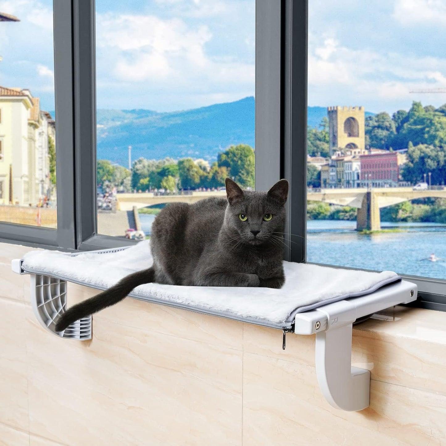 Why Does My Cat Love the Window? How to Create a Safe Window Resting Area
