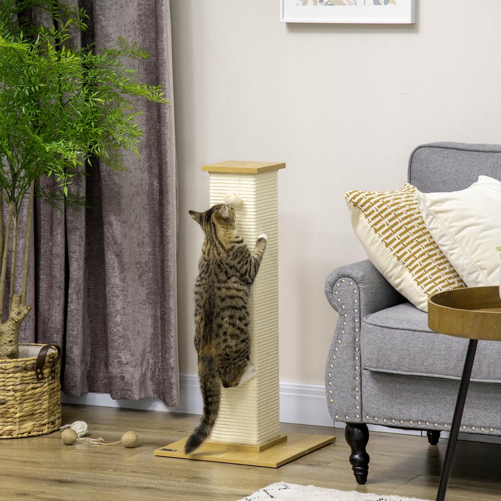 How to Encourage a Cat to Use a New Scratching Post
