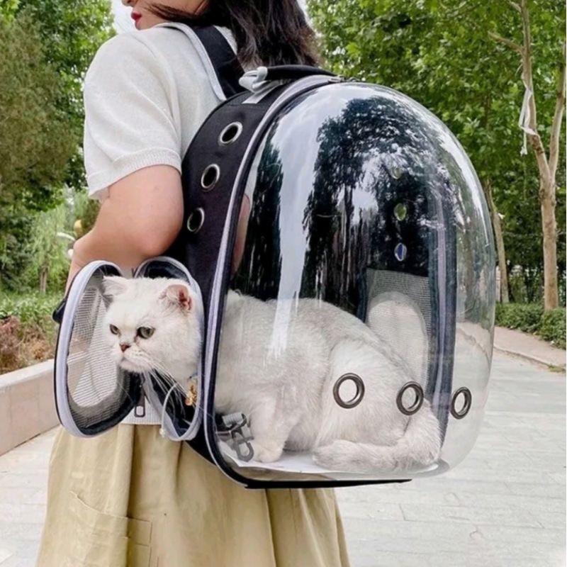 Cat Backpacks