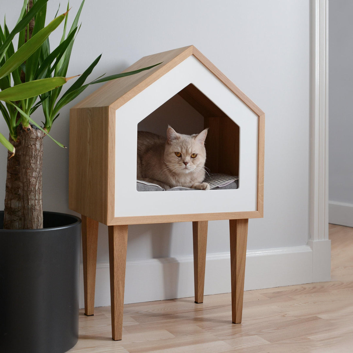 Cat Beds & Houses