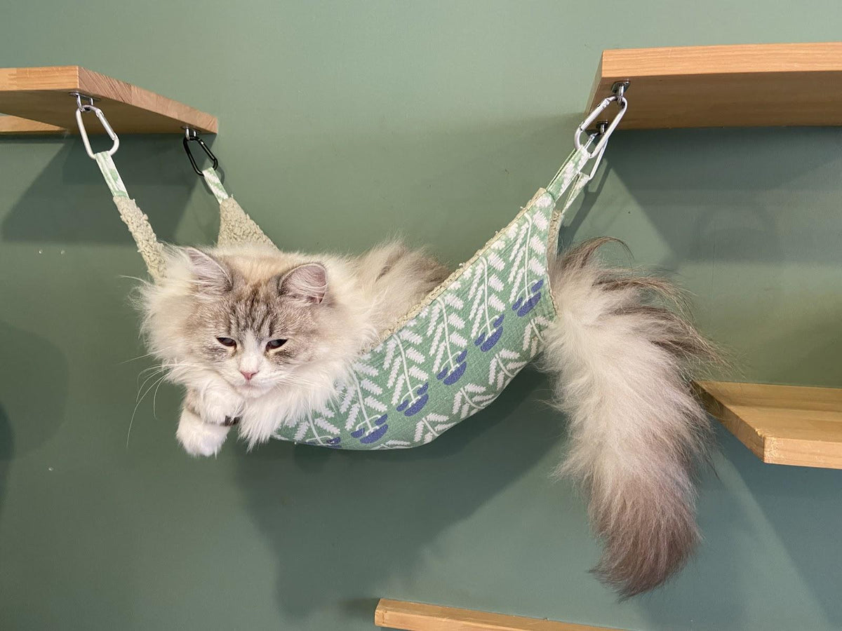 Cat Hammocks