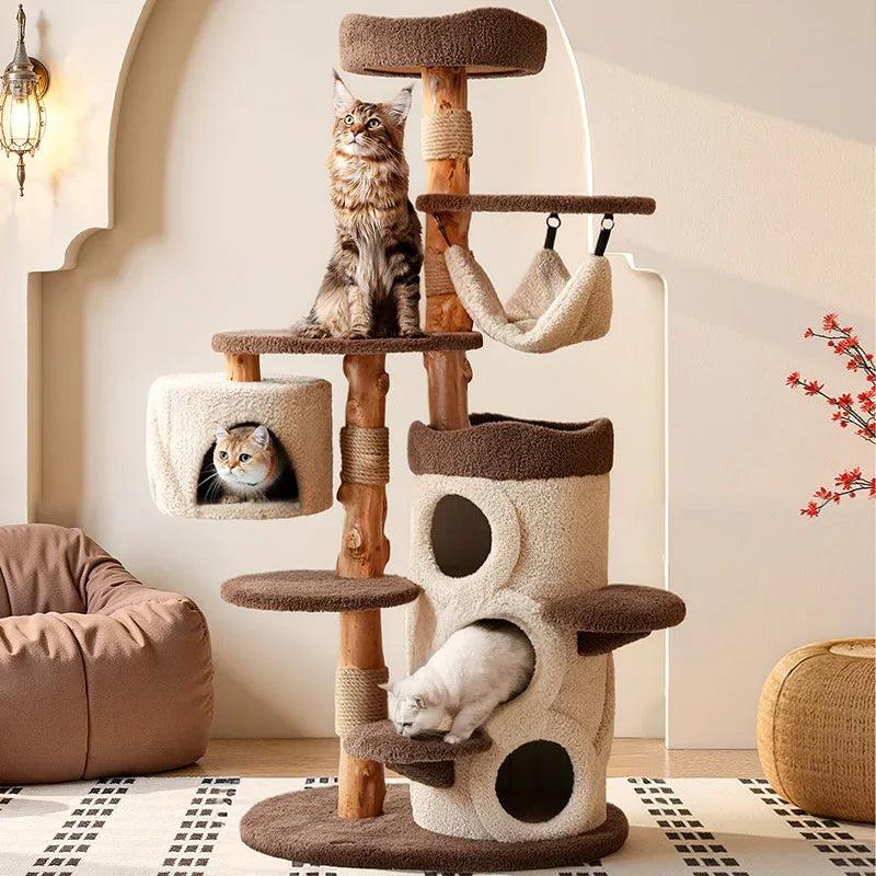 Cat Trees & Towers