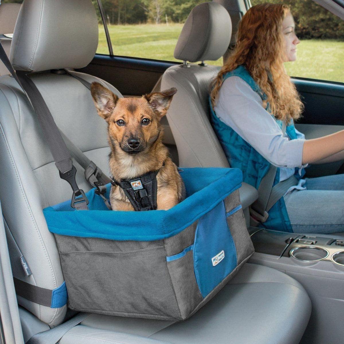 Dog Car Seats