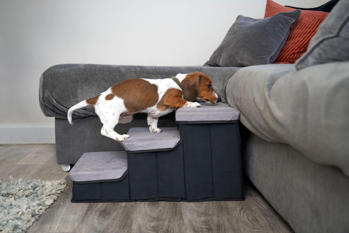 Dog Stairs & Ramps