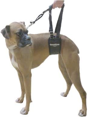 Dog Rear Sling Support Harness, SM Female, Machine Wash & Dry | Fits Small to Medium Size Dogs or Larger Barrel-Chested Breeds like Boxers, Bullies. Padded, Integrated Leash. Made in U.S.A. - Image 5