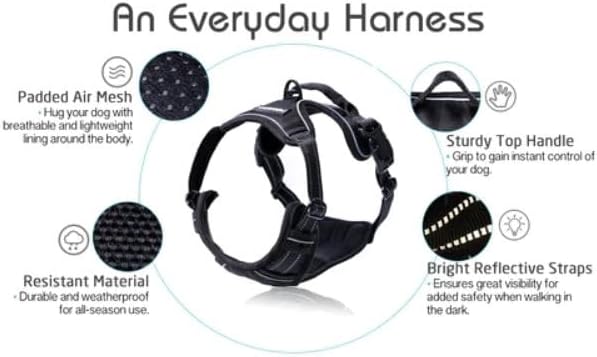 rabbitgoo Dog Harness, No Pull for Large Dogs with 2 Leash Clips, Pet Vest | No Choke with Handle, Adjustable Soft Padded, Reflective, Easy Control for Walking, Black, Large - Image 9