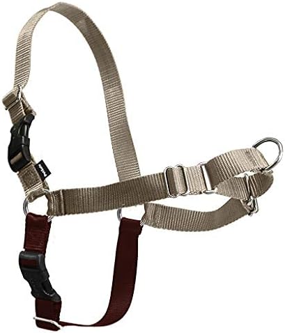 PetSafe Easy Walk Harness, No Pull Dog Harness, Fawn, Small | Patented Martingale Loop Gives Gradual Shoulder Pressure to Stop Pulling, Front-Chest Leash Clip Prevents Gagging - Image 4