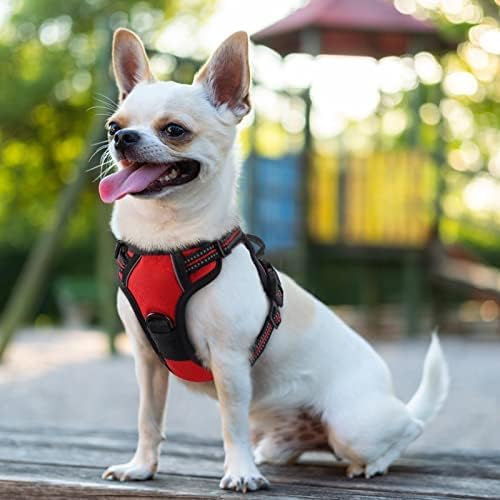 rabbitgoo Dog Harness, No Pull for Small Dogs with 2 Leash Clips, Pet Vest | No Choke, Adjustable, Breathable Padded, 2 Lead Rings, Reflective, Easy Control for Walking Training, XS, Red - Image 8