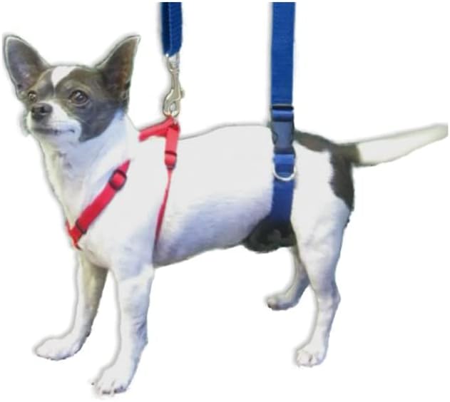 Dog Back Support IVDD Sling Harness, X-Small & Dachshunds | Fits Pets Under 25 lbs and Doxies, Walking Aid for K9s with Disc Disease, Fully Adjustable, Chest Harness NOT Included - Image 7