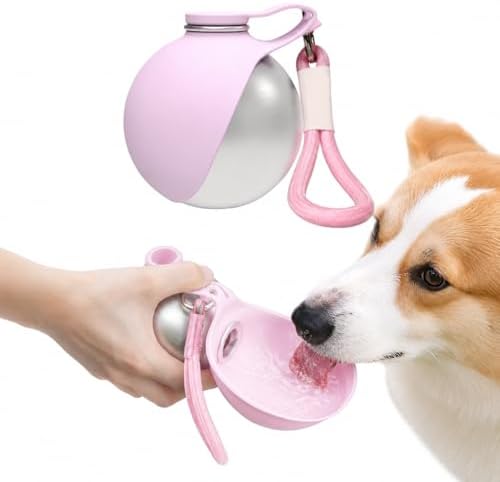 2-in-1 Portable Dog Water Bottle, 10 oz Stainless Steel with Foldable Bowl | Sealed lid, BPA-free silicone, carry strap, easy-rinse design for walks, hikes, and travel by Unknown