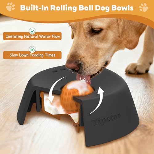Yipetor Dog Lick Bowl, Rolled Ball-in Slow Feeder Enrichment Puzzle Toys | 3/4 Cups Bone Broth, Yogurt, Liquid Treats Lick, BPA-Free & Dishwasher Safe for Dogs Dietary Supplement or Post-op Nutrition - Image 2