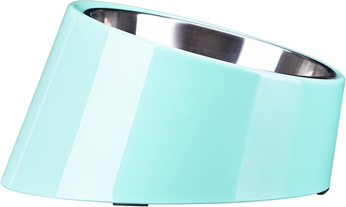 SUPERDESIGN Anti-Vomiting 15° Slanted Pet Bowl L/2 Cup Teal | 15° Tilted, Anti-Vomit & Neck Relief, Non-Slip Base, Detachable Stainless Steel Liner, Dishwasher Safe, for Cats & Dogs by SUPERDESIGN