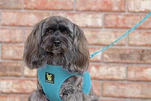 EcoBark Step in Dog Harness, Reflective & Adjustable Chest Halter, XL | Eco Friendly Soft Mesh Dog Harnesses for Small & Medium Breed Dogs, Escape Proof No Choke Chest Body Vest, Baby Blue - Image 9