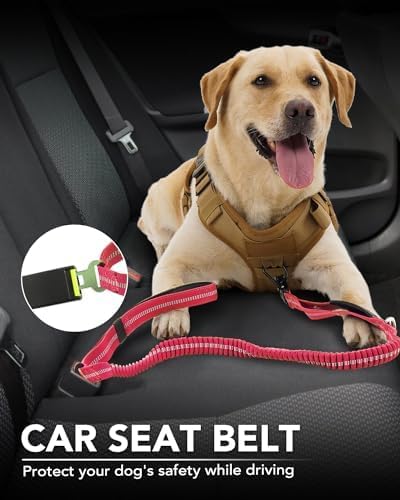 Joytale Tactical Bungee Dog Leash, Shock Absorbing No Pull, Hot Pink | For Large Dogs That Pull, 2 Padded Handles for Control, Car Seatbelt Clip, Reflective for Night Safety, Metal Frog Clip - Image 5