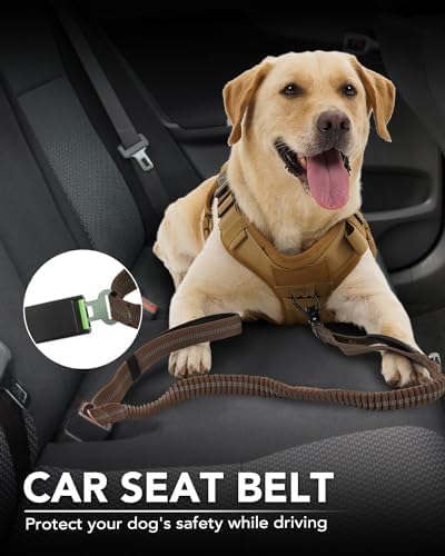 Joytale Tactical Bungee Dog Leash, Shock Absorbing No Pull, Brown | for Large Dogs That Pull, 2 Padded Handles for Control, Car Seatbelt Clip, Reflective for Night Safety, Metal Frog Clip - Image 5