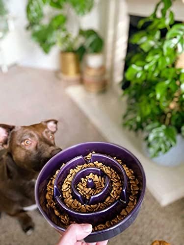 LE TAUCI Dog Bowls Slow Feeder Ceramic, 1.5 Cup Slow Feeding Bowl for Small and Medium Breed, Puzzle Dog Food Bowl for Fast Eater, Maze Purple - Image 9
