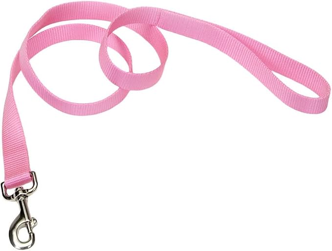 Coastal Pet Single-Ply Dog Leash - Sturdy Pet Leash - Comfortable & Stylish - Resists Fraying - Vibrant & Fade-Resistant Color - Pink Bright, 1" x 6' by CoastalPet