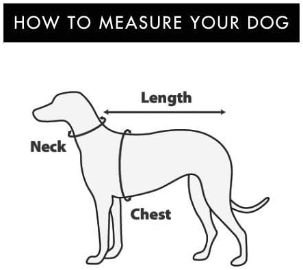 Bark Appeal Blue Step-in Dog Harness for Extra Small Sized Pets – Updated Sizing, Re-Measuring is Essential – Soft Vest Harness – Anti-Choke with Adjustable Strap & Heavy Duty Clip – XXS - Image 3