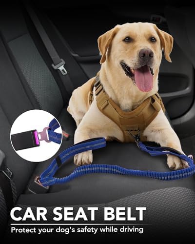Joytale Tactical Bungee Dog Leash, Shock Absorbing No Pull, Navy Blue | For Large Dogs That Pull, 2 Padded Handles for Control, Car Seatbelt Clip, Reflective for Night Safety, Metal Frog Clip - Image 5