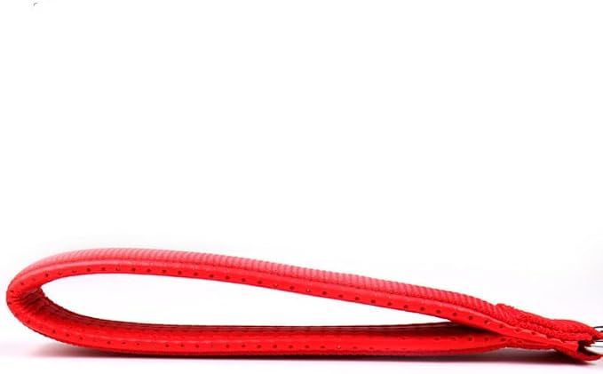 SGODA Metal Chain Heavy Duty Dog Leash, 4 ft x 3.5 mm Red - Image 3