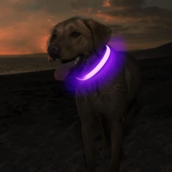 MASBRILL Light Up Collar, LED Rechargeable Glow Flashing Night Collar, Waterproof, 4 Colors, 3 Sizes for Small to Large Dogs (S(0.98 * 15.75"), Purple) - Image 2