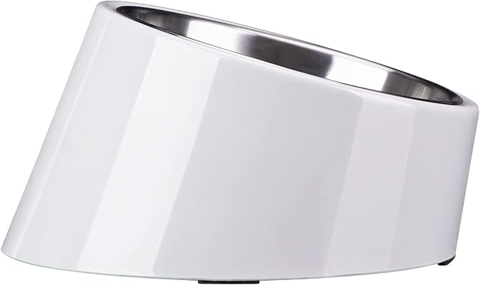 SUPERDESIGN Anti-Vomiting 15° Slanted Pet Bowl, S/0.5 Cup, Gray | 15° Tilted, Anti-Vomit & Neck Relief, Non-Slip Base, Detachable Stainless Steel Liner, Dishwasher Safe, for Cats & Dogs by SUPERDESIGN