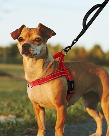 rabbitgoo Dog Harness No Pull, Quick Fit for Medium Sized Dog, Reflective | Chest Adjustable Pet Vest with Soft Padded Handle, No Choke Escape Proof for Walking Training, Red M - Image 9