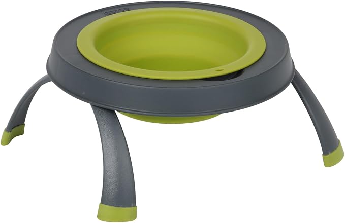 Dexas Pets Elevated Pet Feeder, Large, 4 Cup Capacity, Green, Raised Pet Food and Water Bowl by Dexas