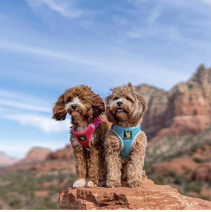 EcoBark Step in Dog Harness, Soft Mesh, Small & Medium Dogs, Pink, Large | Eco Friendly, Reflective & Adjustable Body Halter Vest, No Choke Padded Dog Harnesses for Small & Medium Breed Dogs - Image 8