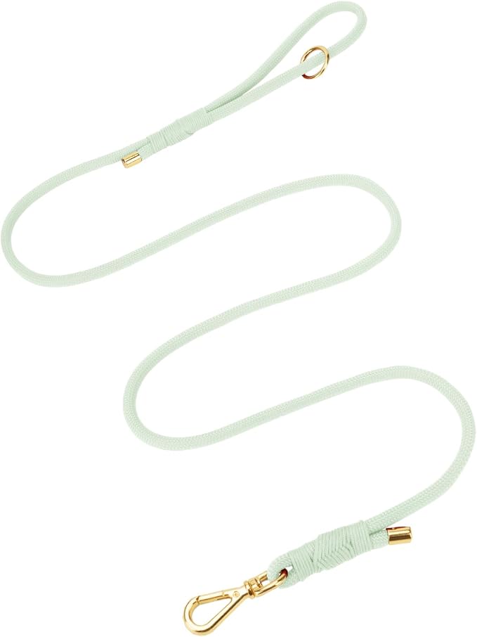 5FT Dog Leash 5/16 inch Puppy Cat Rope Lead | Light Green, with Anti-tangle Swivel Clip, Comfortable Non-slip Grip Handle, Ideal for Daily Walks, for Small Medium Dogs by Sunraymascota