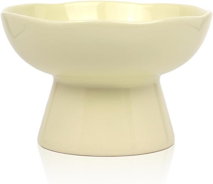 6.1" Wide 1.57" Deep Elevated Cat Bowls, Ceramic Water Bowls for Flat Faced Cats,Cat Feeder,Stress Free,Protect Cat’s Spine,Cream by Careforyourbelovedfurbaby