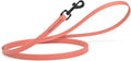Dogline Biothane Waterproof Dog Leash Strong Coated Nylon Webbing with Black Hardware Odor-Proof Easy to Clean High Performance for Small or Large Dogs Made in USA 4 or 6 ft Lead, Coral by Dogline