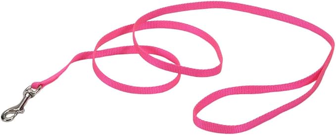 Coastal Pet Single-Ply Dog Leash - Sturdy Pet Leash - Comfortable & Stylish - Resists Fraying - Vibrant & Fade-Resistant Color - Neon Pink, 3/8" x 6' by CoastalPet