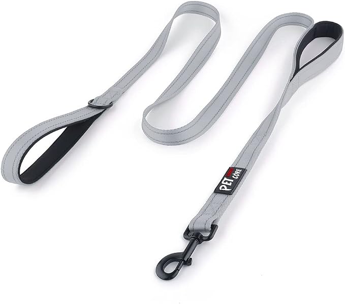 Plutus Pet Double Handle Dog Leash, 6 FT Long, for Medium Large Dogs | Reflective Nylon, Soft Padded 2 Handles, Heavy Duty for Training, Dual Handle Lead, 6 FT x 1”, Gray by PLUTUSPET