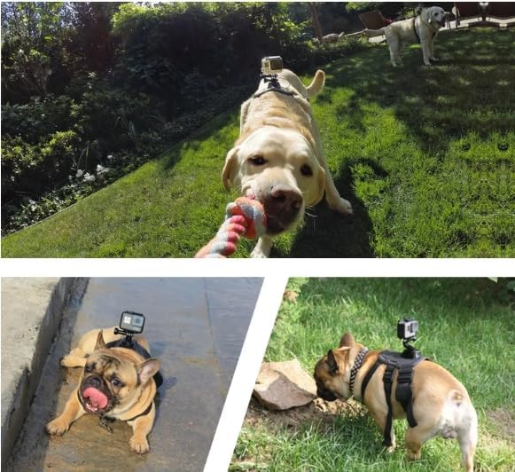 Dog Harness for Gopro, with 2 Mouting Base,Soft Adjustable for Small Medium and Large Dogs for Gopro 12 11 10 9 8 7 6 5 4 3, for DJI Osmo Pocket Camera and Insta360 - Image 7