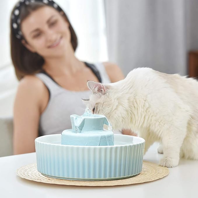 360 Ceramic Pet Fountain, Advanced Porcelain Cat Water Fountain, 70 oz.Drinking Fountains Bowl for Cat and Dogs with Replacement Filters and Foam (Green Blue) - Image 6