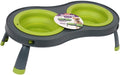 Dexas Popware for Pets Double Elevated Pet Feeder, Large, Gray/Green by Dexas