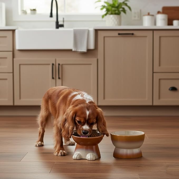 Nihow Dog Food & Water Bowls: Elevated Ceramic Bowls for Medium/Small Dog | Food Safe Raised Puppy Bowls - Brown Pet Bowl for Protecting Pet's Spine (Set of 2) - Image 5