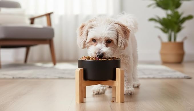 Elevated/Raised Ceramic Dog Bowl with Bamboo Stand,8 inch 7.6 Cups Non-Slip Heavy-Weighted Single Pet Dish, Reduces Neck Strain Black - Image 7