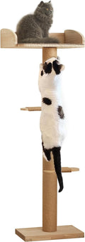 Cat Window Perch with Tall Scratching Posts, Inside 48 in Tall Climbing Tree Hammmock Mounted with Suction Cups for Climbing, Bird Watching, and Play, Supports 45 lbs by Unknown