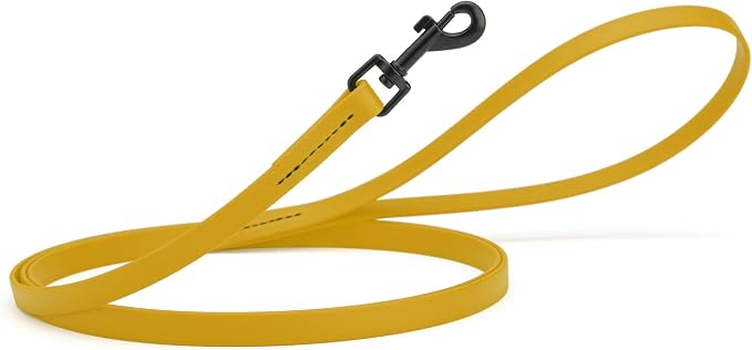 Dogline Biothane Waterproof Dog Leash Strong Coated Nylon Webbing with Black Hardware Odor-Proof Easy to Clean High Performance for Small or Large Dogs Made in USA 4 or 6 ft Lead, Treasure Gold by Dogline