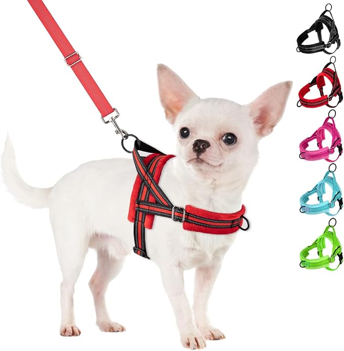 SlowTon No Pull Small Dog Harness and Leash Set with Front Clip | Soft Padded, Neck & Chest Adjustable, Lightweight, Anti-Twist, Puppy Vest Harness Pet Lead Combo for Small Medium Dog, R XXS by SlowTon