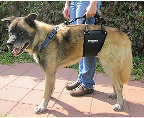 Dog Support Harness, Rear End Lift Sling, Tall Male, Made in USA | Fits Tall, Lean Dogs like Greyhounds or Great Danes, Padded Mobility Aid, Help Pets Walk or Balance, Machine Wash & Dry - Image 5