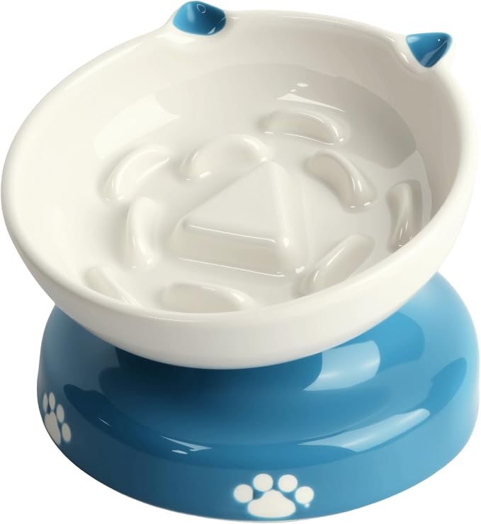Y YHY Ceramic Slow Feeder Cat Bowl, Elevated Cat Bowl Tilted Design Slow Feeder for Dog and Cat for Dry and Wet Food, Blue by YYHY