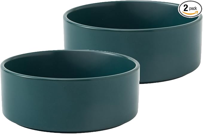 Ceramic Set of 2 Dog and Cat Bowls - Classic Food & Water Bowl for Kitty, Cats and Toy Breed Dogs, Weighted Dog Dishes, Food Grade Pet Bowl, Dishwasher & Microwave Safe (5.1'', 2*16OZ, Green) by Welloyed