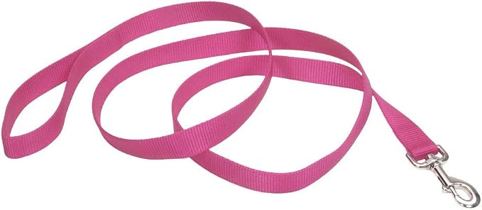 Coastal Pet Single-Ply Dog Leash - Sturdy Pet Leash - Comfortable & Stylish - Resists Fraying - Vibrant & Fade-Resistant Color - Neon Pink, 3/4" x 6' by CoastalPet
