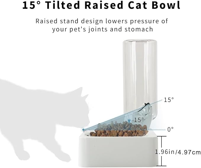 Marchul Tilted Cat Food Bowl with Feeding Mat for Food and Water, Food Feeding Dishes for Raised Cats and Puppies - Image 4