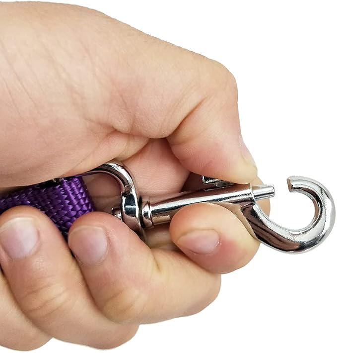 Nylon Dog Training Leash, Traction Rope, 4Ft /5 Foot /6 Feet Long, 5/8 inch 3/4 Inch 1 Inch Wide, for Small and Medium Dogs - Image 4