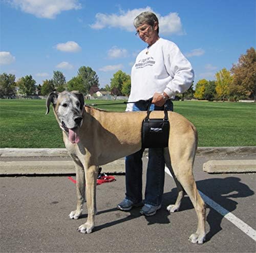 Dog Sling Hip Lift Support Harness, Tall Female, Made in USA | Fits Tall, Lean Dogs like Greyhounds or Great Danes, Padded Mobility Aid, Help Pets Walk or Balance, Machine Wash & Dry - Image 5